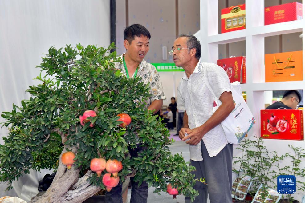 天狮大中华